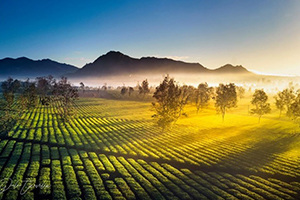 Khám phá Biển Hồ Chè giữa lòng cao nguyên rộng lớn